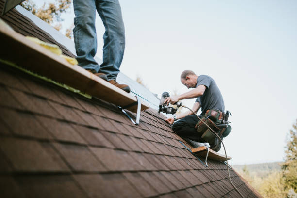 Best Sheet Metal Roofing  in Silver Lakes, CA